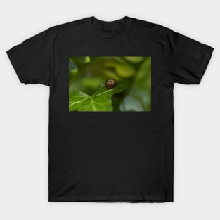 FORESTWHORLED T-Shirt